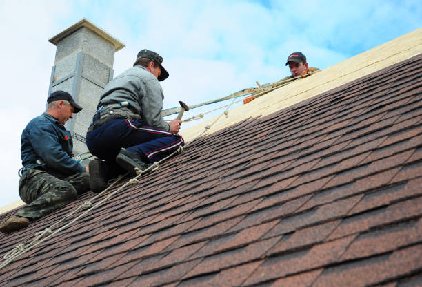 Best Roof Gutter Cleaning  in Bayou Lourse, LA