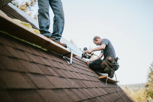 Gutter Installation and Roofing in Bayou Lourse, LA