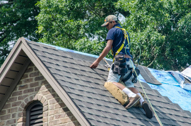 Best Roof Maintenance Services  in Bayou Lourse, LA